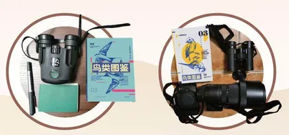 古今同眸:人类眼中永恒的鸟影1