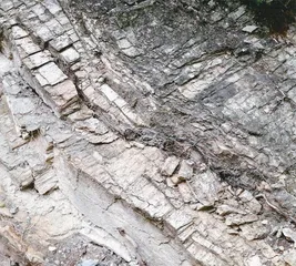 埋在大地里的“香肠”7