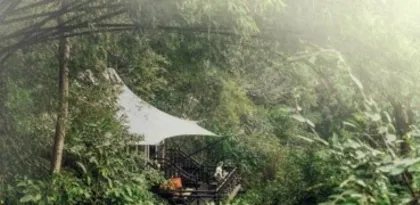 原始丛林中的野奢营地8