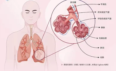 身体里的“小气球”