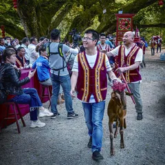 盘歌娶亲 畲族婚俗1