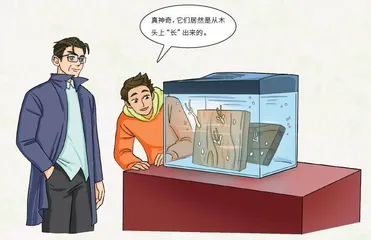 给裸蛤吃点小“零食”