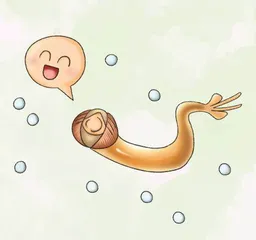给裸蛤吃点小“零食”2