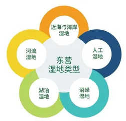 把热带雨林装入一个缸中需要几步？4