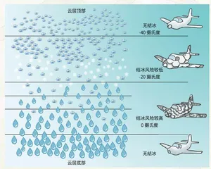 可为飞机“贴膜”的竹叶2