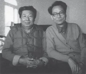 情随事迁：徐放的“爱”与“恨”2