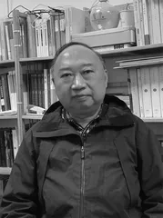 诗歌文体的外来性与本土化问题
