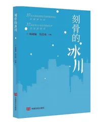 追求系列小小说的新品质