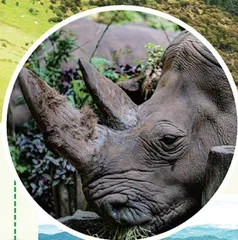 走进林草天地 领略生物多样性之美1