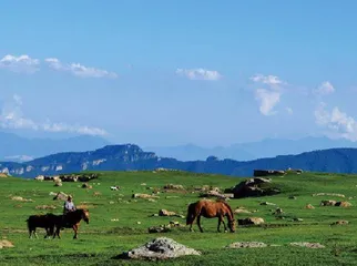 走进林草天地 领略生物多样性之美5