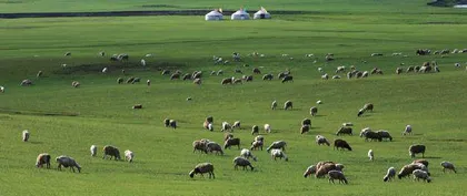 走进林草天地 领略生物多样性之美6