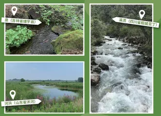 小湿地 大潜能 雷茵茹 什么是小微湿地?1
