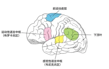 “听”见心声2