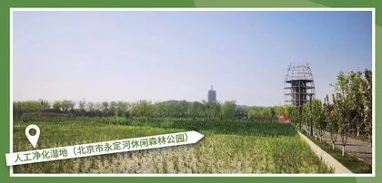 小湿地 大潜能 雷茵茹 什么是小微湿地?2