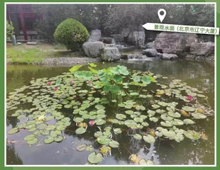 小湿地 大潜能 雷茵茹 什么是小微湿地?3
