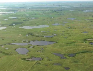 小湿地 大潜能 雷茵茹 什么是小微湿地?5