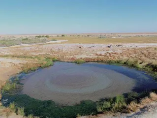 小湿地 大潜能 雷茵茹 什么是小微湿地?6