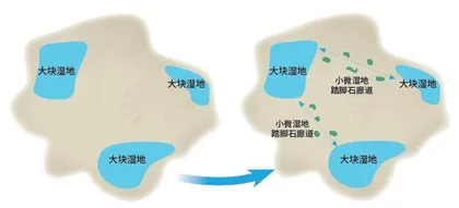 小湿地 大潜能 雷茵茹 什么是小微湿地?7