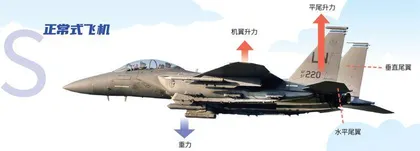 鸭式飞机与它的“小耳朵”1
