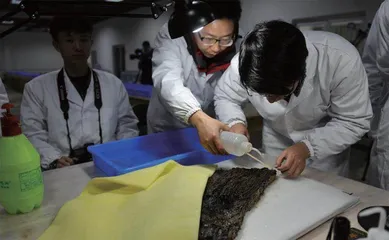 会“伸懒腰”的海昏侯简牍3