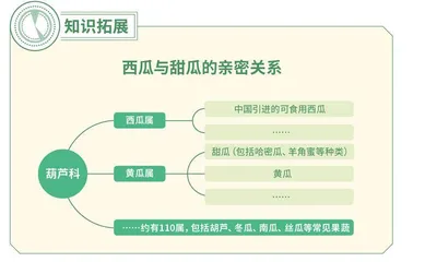 告别“拍一拍”的时代1