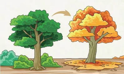 仿生叶片:树荫深处的“变色龙”1