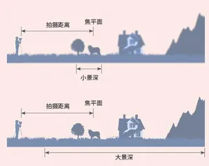 给昆虫标本拍张“证件照”5