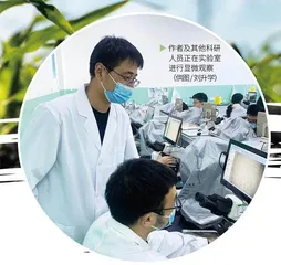 少年粮食育种学家养成记1
