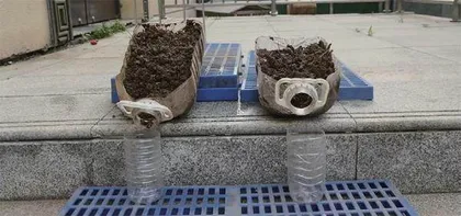 水土流失因素探究实验6