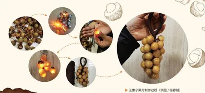 落叶无忧 花开无患3