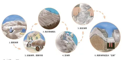 垒石为墙,海草为顶的生态民居3