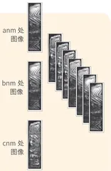 “看得见”的红外线4