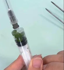 嫩叶与老叶光合作用强度有区别吗?2