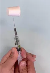 嫩叶与老叶光合作用强度有区别吗?3