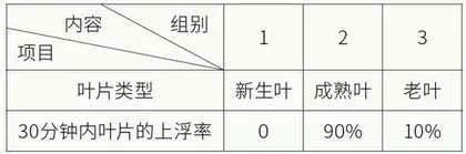 嫩叶与老叶光合作用强度有区别吗?6