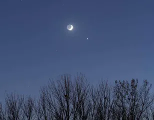 做“追”星星的人4