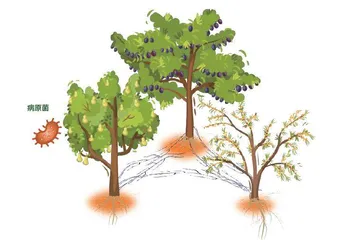 植物也会“唠嗑”吗?听听它们都聊了啥4