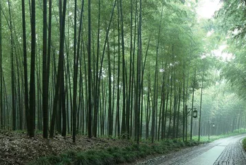 竺可桢曲线:揭秘中国近5000年气候变迁4