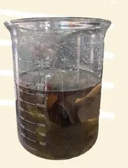 小叶脉里的大世界2