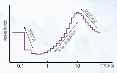 传承与革新并存的FM-3000N舰空导弹武器系统3