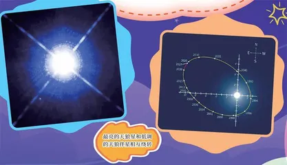春和景明夜色朗　二小少年寻“小狼”