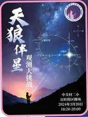 春和景明夜色朗 二小少年寻“小狼”1