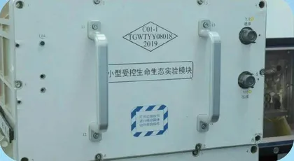 航天员边“养鱼”边做太空实验?6