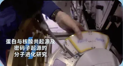 航天员边“养鱼”边做太空实验?8