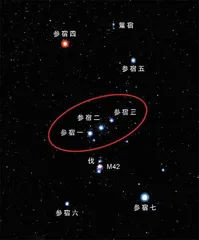 人生不相见,动如参与商1