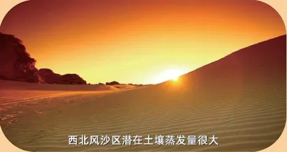 所有的土壤都适合种树吗?3