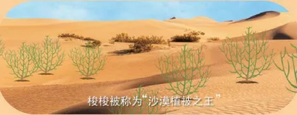 所有的土壤都适合种树吗?4