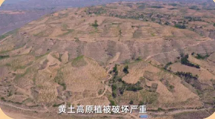 所有的土壤都适合种树吗?6