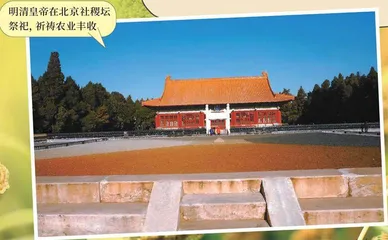 谷子:“国粮”的过去和今天5