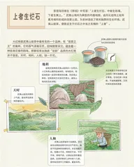 岩骨花香通茶道1